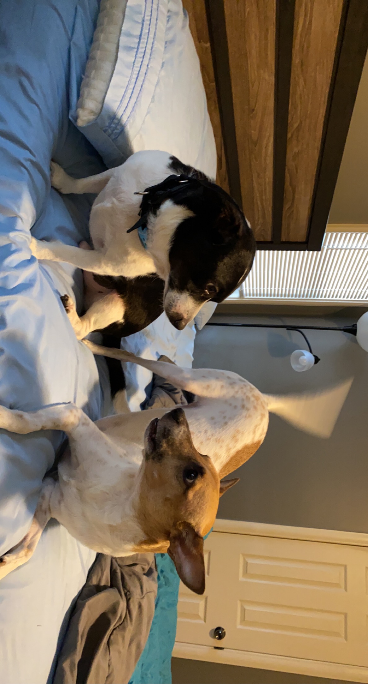 Toby and Logan becoming friends