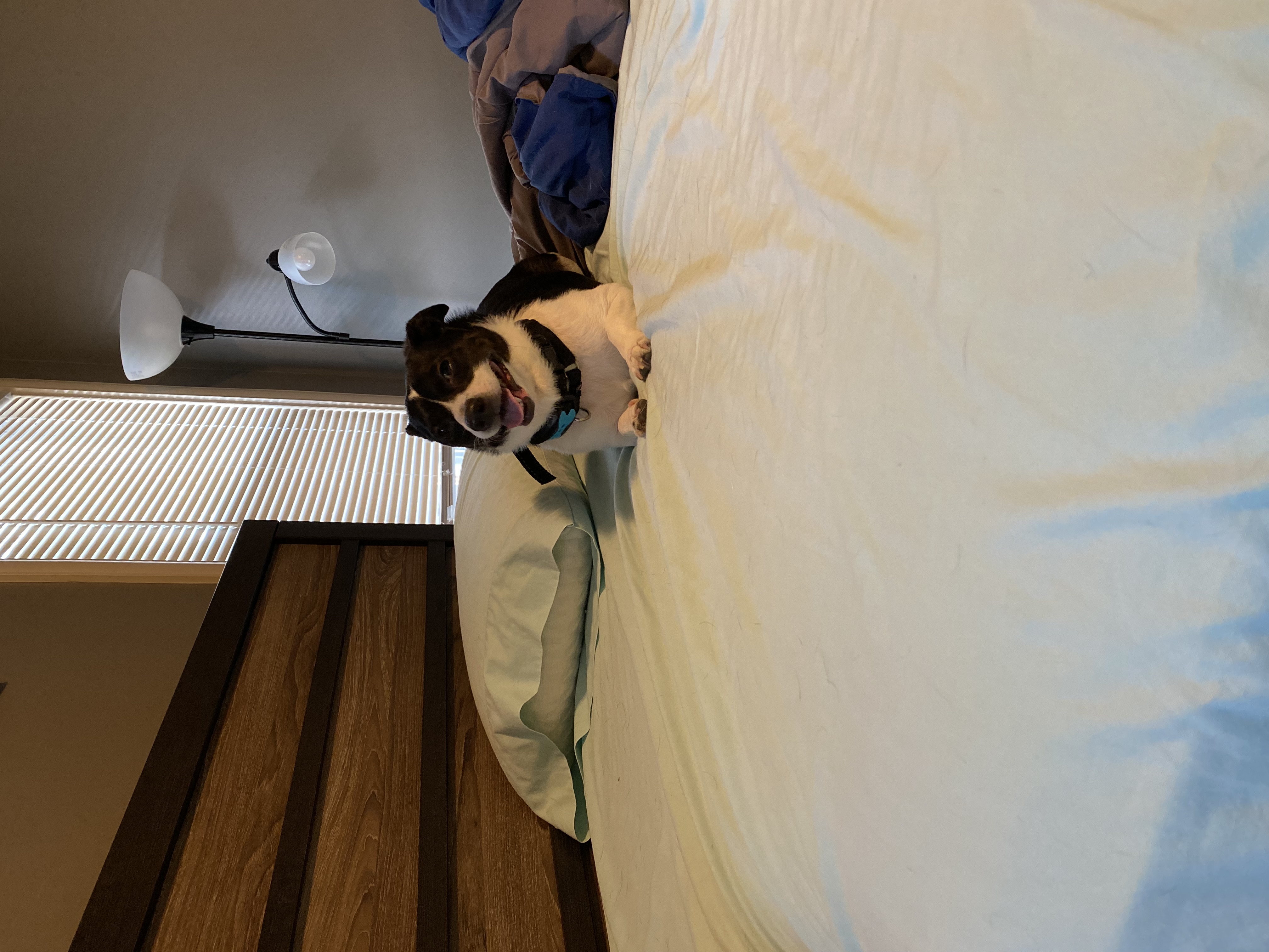 Logan in his first week home